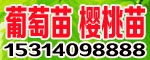 ̩_l(f)^(q)su(y)@ˇ