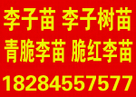 HH@ˮNֲ(zhun)I(y)